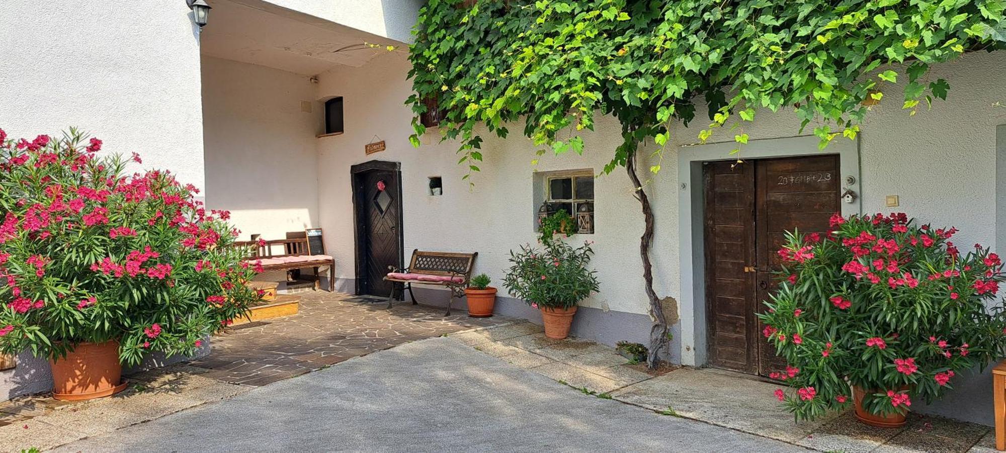 Ana Antloga Apartments Блед Экстерьер фото